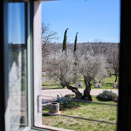 Winery Cuj Bed & Breakfast Vilanija Buitenkant foto