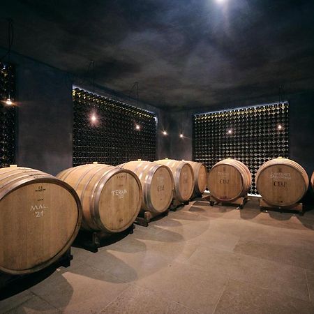 Winery Cuj Bed & Breakfast Vilanija Buitenkant foto