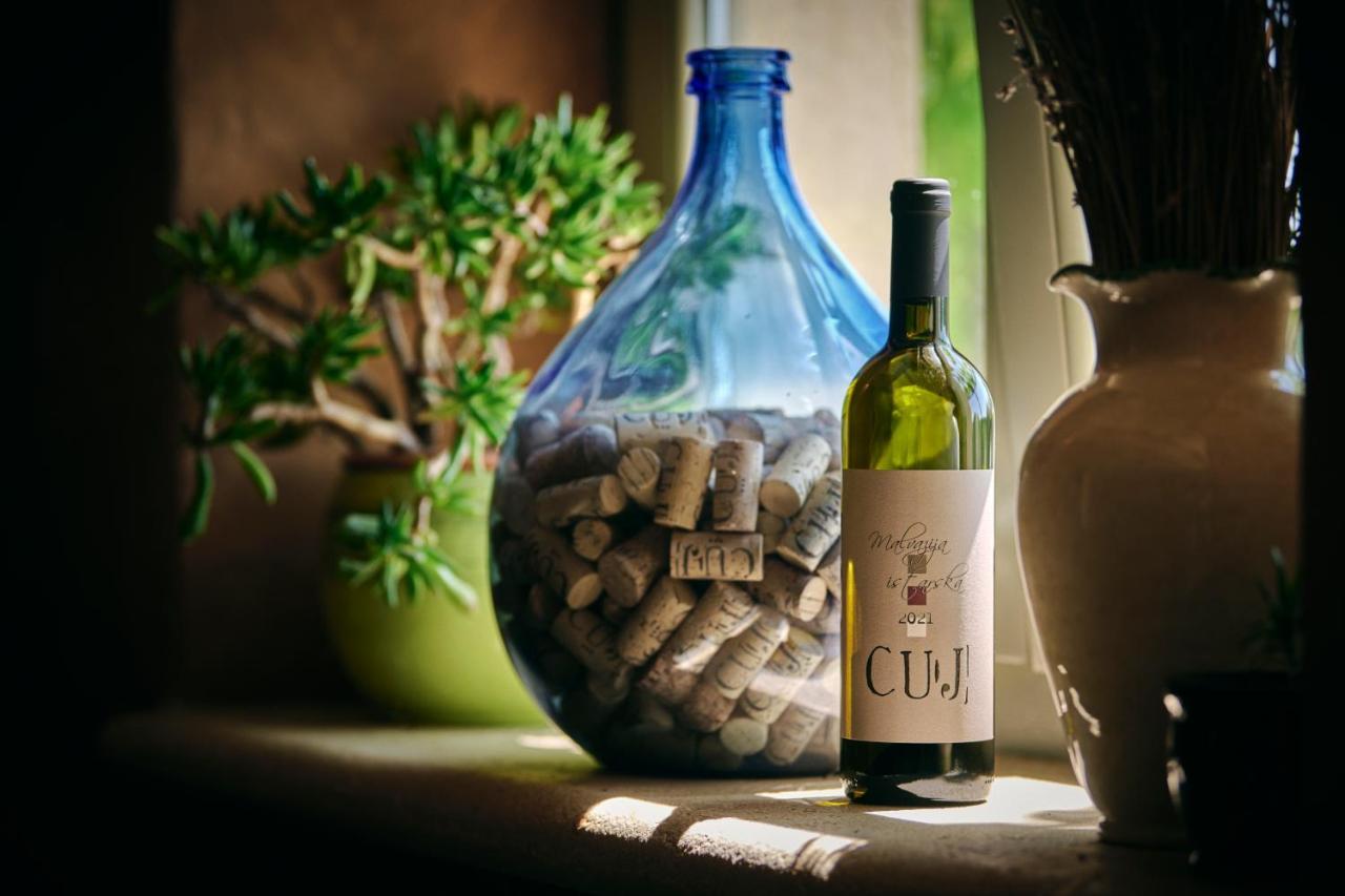 Winery Cuj Bed & Breakfast Vilanija Buitenkant foto